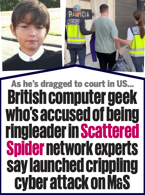 British Cybercriminal Pleads Guilty to Fraud and Identity Theft